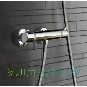 Смеситель Hansgrohe Ecostat 13116000 картинка 2